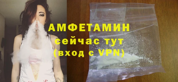 ГАЛЛЮЦИНОГЕННЫЕ ГРИБЫ Инсар
