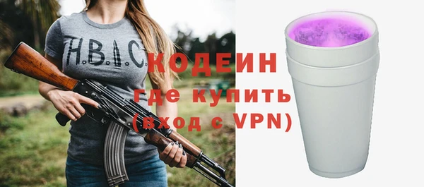 ГАЛЛЮЦИНОГЕННЫЕ ГРИБЫ Инсар