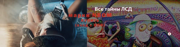 ГАЛЛЮЦИНОГЕННЫЕ ГРИБЫ Инсар