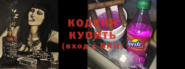 ГАЛЛЮЦИНОГЕННЫЕ ГРИБЫ Инсар