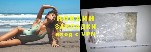 ГАЛЛЮЦИНОГЕННЫЕ ГРИБЫ Инсар