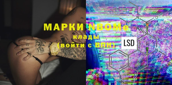 ГАЛЛЮЦИНОГЕННЫЕ ГРИБЫ Инсар