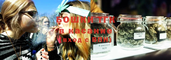 ГАЛЛЮЦИНОГЕННЫЕ ГРИБЫ Инсар