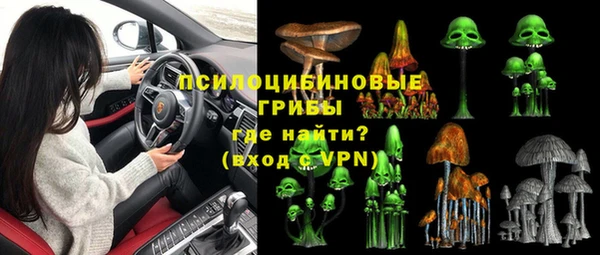 ГАЛЛЮЦИНОГЕННЫЕ ГРИБЫ Инсар