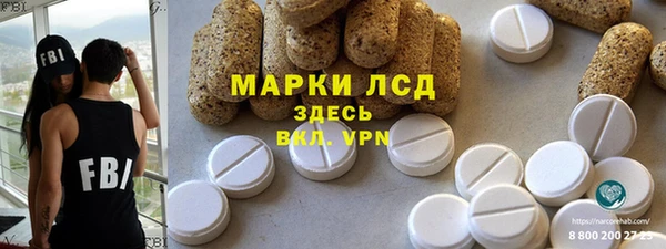 ГАЛЛЮЦИНОГЕННЫЕ ГРИБЫ Инсар