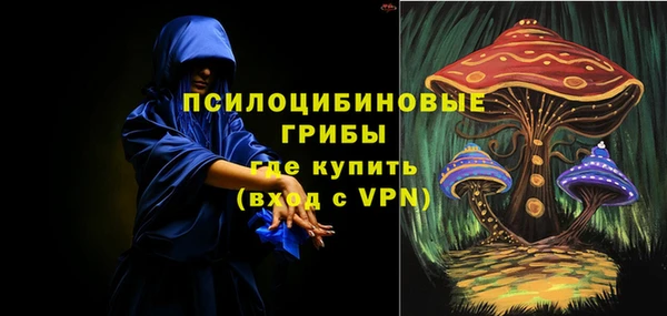 ГАЛЛЮЦИНОГЕННЫЕ ГРИБЫ Инсар